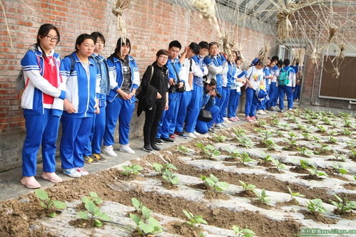 科技賦能農業 創新點亮未來——高二年級天安農業種植研發基地社會實踐活動紀實