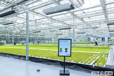 2023年武漢種業博覽會六月啟幕 農業科技研發引領產業新篇