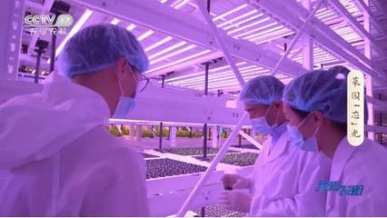 科技賦能，沃土生金 農(nóng)業(yè)科技研發(fā)如何讓鄉(xiāng)村生活更美好