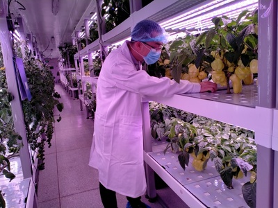 技術交流促發(fā)展，魚菜高與百源康共探農(nóng)業(yè)科技新路徑——福建中科三安植物工廠學習行記