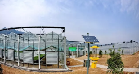 成都探索“互聯(lián)網(wǎng)+農(nóng)業(yè)”新路徑 打造智慧農(nóng)業(yè)科技服務新生態(tài)