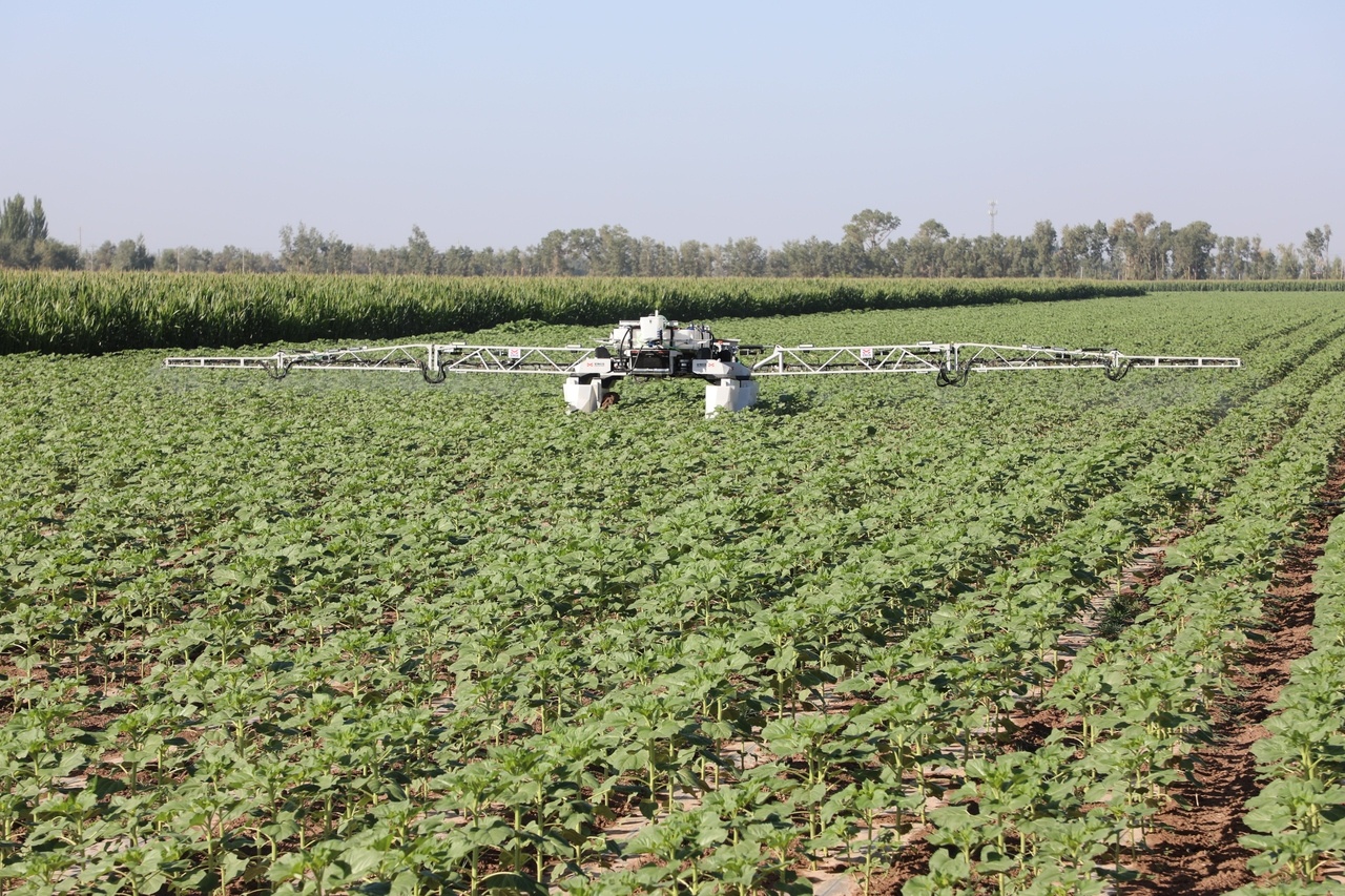 科技賦能田間 農業機器人服務引領現代農業新變革