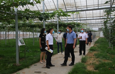 河北省科技廳副廳長李華峰一行赴中國農業大學涿州教學實驗場調研指導重點科技項目建設